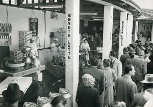Fiera di Milano - Campionaria 1950 - Casa del latte