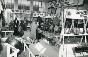 Fiera di Milano - Campionaria 1951 - Padiglione dei prodotti della lavorazione del latte, della carne e dell'industria conserviera - Sala di prodotti caseari