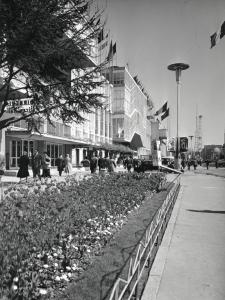 Fiera di Milano - Campionaria 1957 - Viale dell'industria - Palazzo delle nazioni - Aiuole fiorite