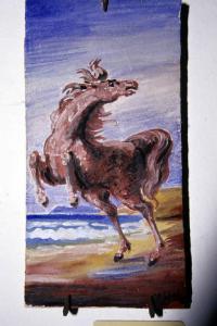 Cavallo sulla spiaggia