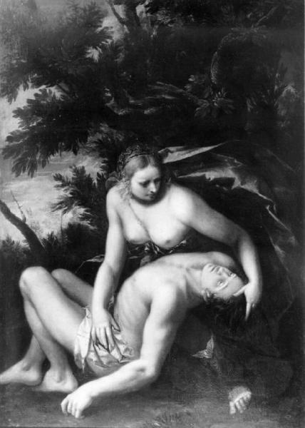 Venere e Adone