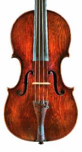 Violino