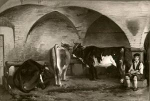 Figura di contadino nella stalla con mucche