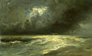 Marina in tempesta e gabbiano