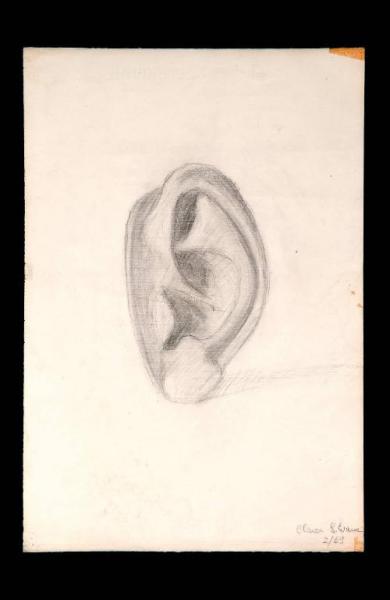 Studio di orecchio