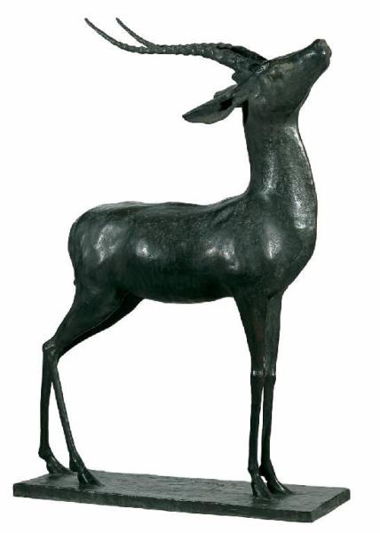 Antilope eritrea