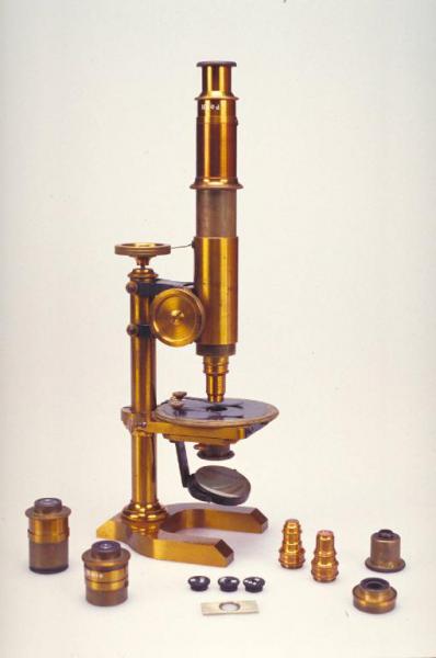 Microscopio polarizzatore - scienze della vita