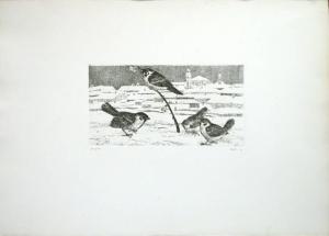 Uccellini nella neve