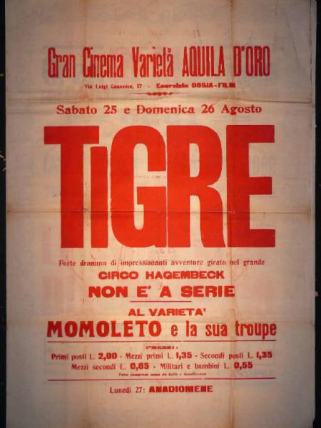 Tigre/ Anadiomene