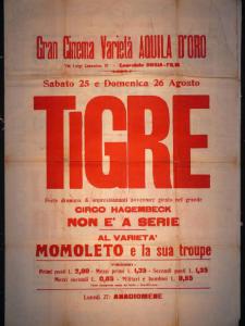 Tigre/ Anadiomene
