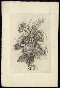 Nuova e curiosa raccolta di più vaghi fiori immitati dal naturale in Parigi da I. Belli al presente dati in luce in Roma da Carlo Losi 1773