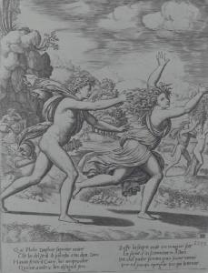 Storia di Apollo e Dafne