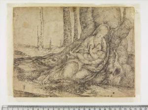 La Vergine seduta presso un albero che allatta il Bambino