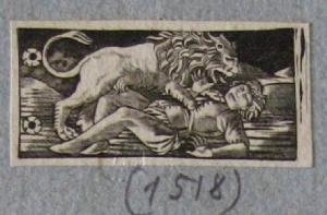 Giovane attaccato da un leone