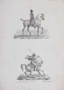 Cavallo con cavaliere inglese e militare all'attacco