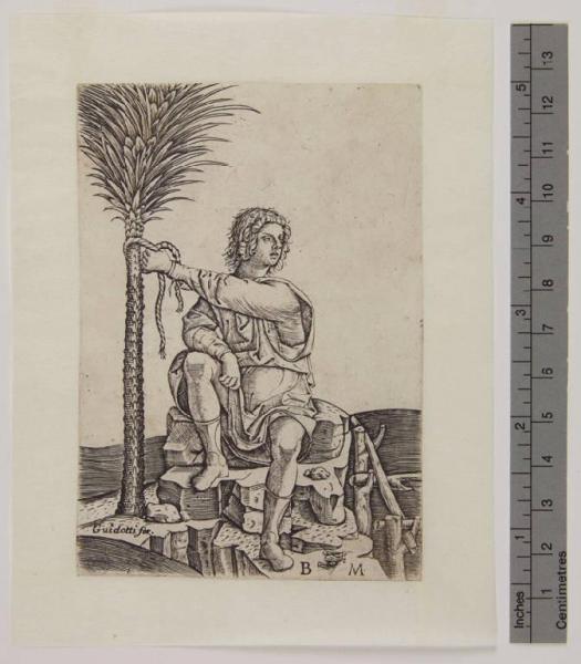 Uomo seduto vicino ad una palma