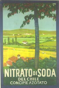 Nitrato di Soda del Chile - concime azotato
