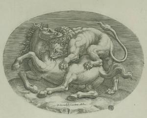 Un leone attacca un cavallo