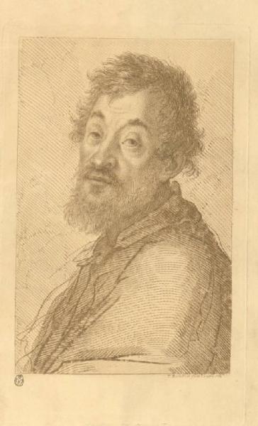 Ritratto di uomo barbuto (Giulio Romano ?)