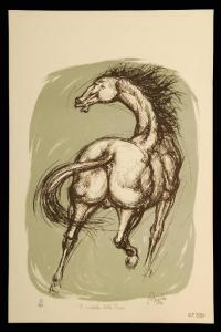Il cavallo della pigna