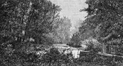 Monza, Parco Reale, veduta dei giardini in un'incisione del 1891 pubblicata su “Le Cento Citt d'Italia” (Archivio ISAL, Fondo corrente, sn)